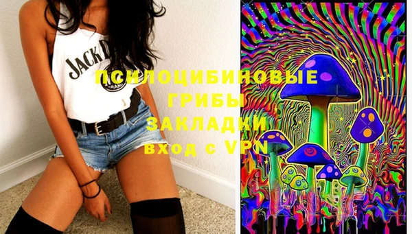 дмт Балахна